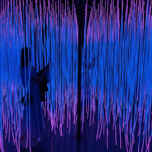 STRING SECTION - Sonic Neon in Sydney - Electonic Music Immersive Experience